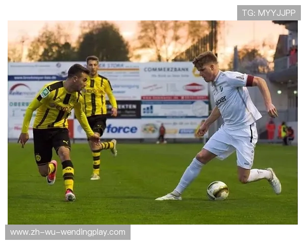 草根足球队如何晋升到德甲联赛?案例分析 草根足球队如何晋升到德甲联赛?案例分析