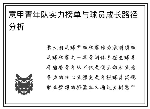 意甲青年队实力榜单与球员成长路径分析